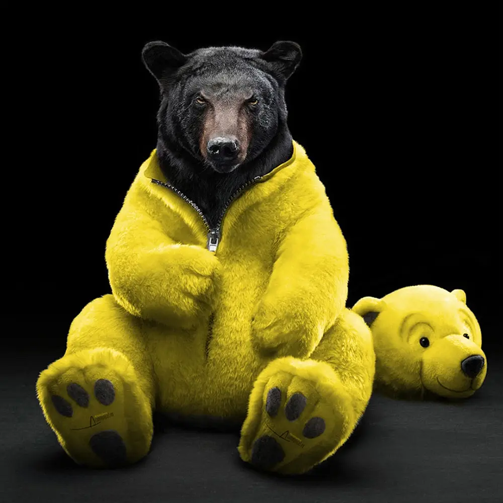 ours noir méchant dans un déguisement d'ours jaune gentil